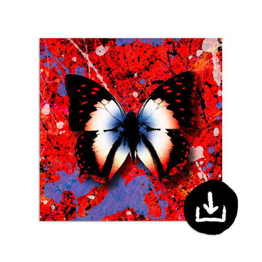 2Step Digital Single